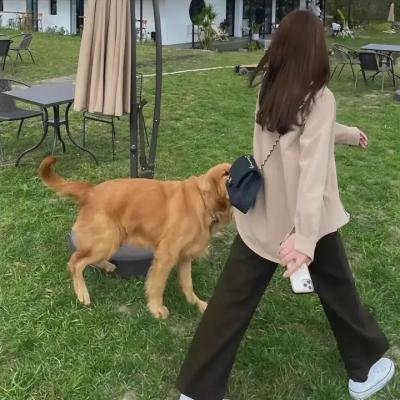排球少年第四季